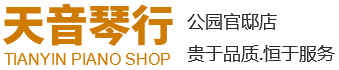 天音琴行