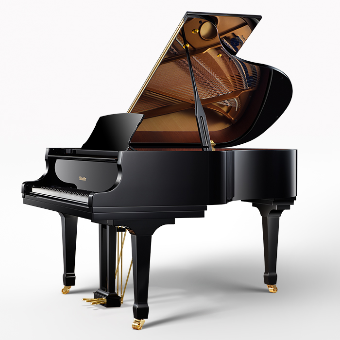RS173